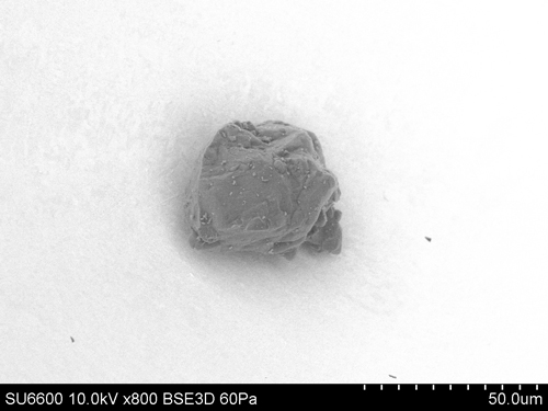 SEM Photo of sample RB-CV-0015