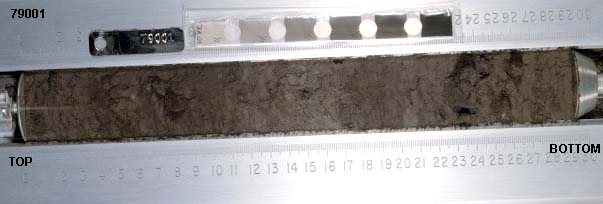 Core Sample 79001 (Photo number: 79001)
