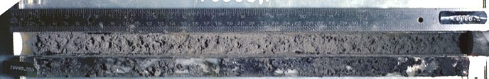 Core Sample 70008 (Photo number: S74-16828)