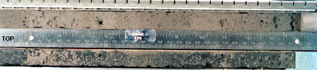 Core Sample 70002 (Photo number: S77-22341)