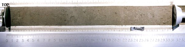 Core Sample 76001 (Photo number: S78-36998)