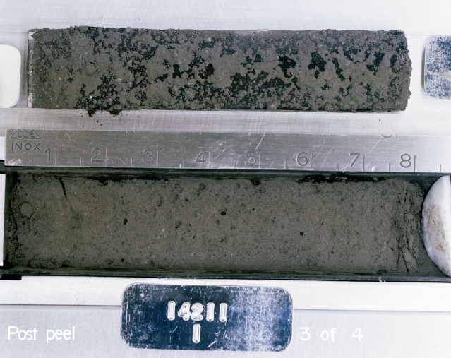 Core Sample 14211 (Photo number: S79-27213)