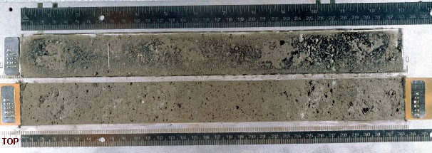 Core Sample 15007 (Photo number: S83-34069)