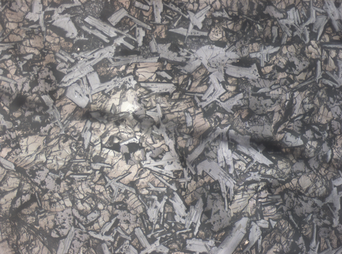 Thin Section Photograph of Apollo 11 Sample 10003,153 in Reflected Light at 2.5x Magnification and 2.85 mm Field of View (View #2)