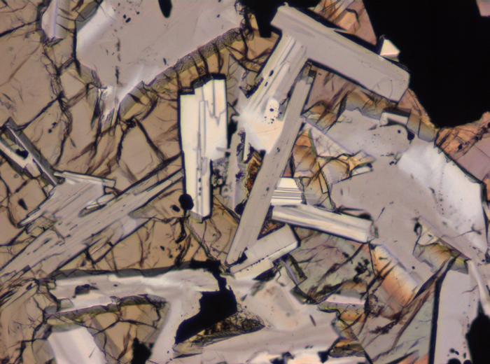 Thin Section Photograph of Apollo 11 Sample 10003,153 in Plane-Polarized Light at 10x Magnification and 0.7 mm Field of View (View #3)
