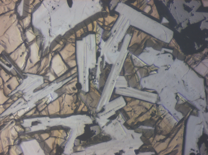 Thin Section Photograph of Apollo 11 Sample 10003,153 in Reflected Light at 10x Magnification and 0.7 mm Field of View (View #3)