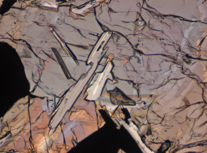 Thin Section Photograph of Apollo 11 Sample 10003,153 in Plane-Polarized Light at 10x Magnification and 0.7 mm Field of View (View #4)