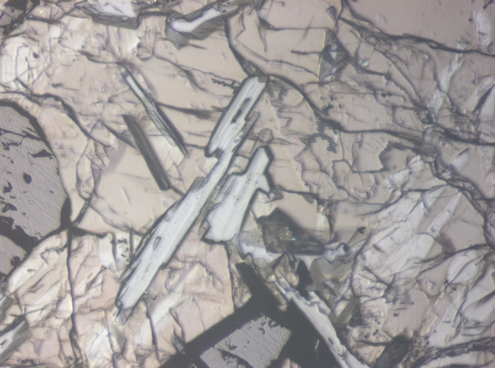 Thin Section Photograph of Apollo 11 Sample 10003,153 in Reflected Light at 10x Magnification and 0.7 mm Field of View (View #4)