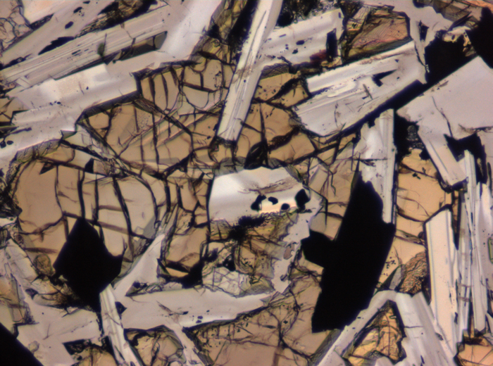 Thin Section Photograph of Apollo 11 Sample 10003,153 in Plane-Polarized Light at 10x Magnification and 0.7 mm Field of View (View #5)