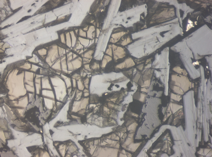 Thin Section Photograph of Apollo 11 Sample 10003,153 in Reflected Light at 10x Magnification and 0.7 mm Field of View (View #5)