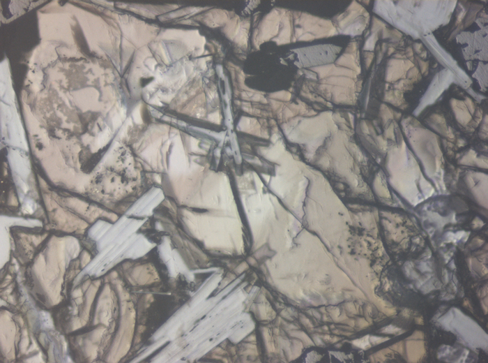 Thin Section Photograph of Apollo 11 Sample 10003,153 in Reflected Light at 10x Magnification and 0.7 mm Field of View (View #6)