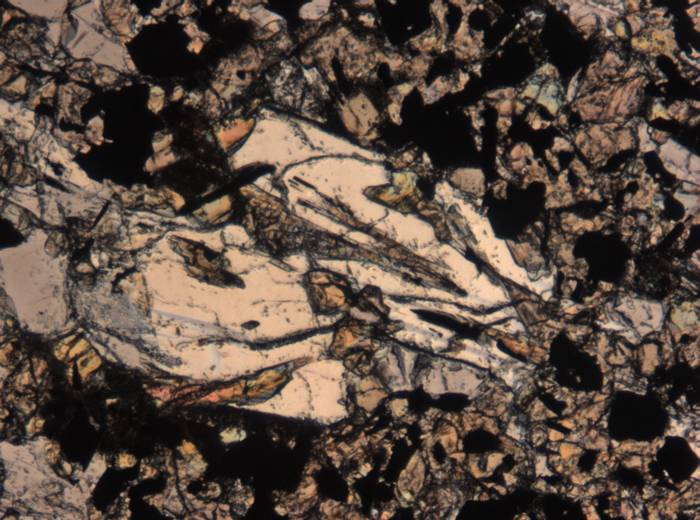 Thin Section Photograph of Apollo 11 Sample 10017,336 in Plane-Polarized Light at 5x Magnification and 1.4 mm Field of View (View #2)