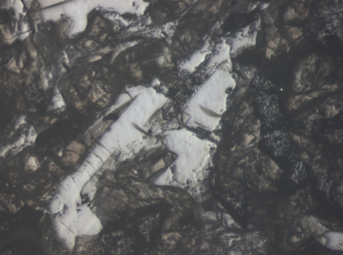 Thin Section Photograph of Apollo 11 Sample 10017,336 in Reflected Light at 10x Magnification and 0.7 mm Field of View (View #3)