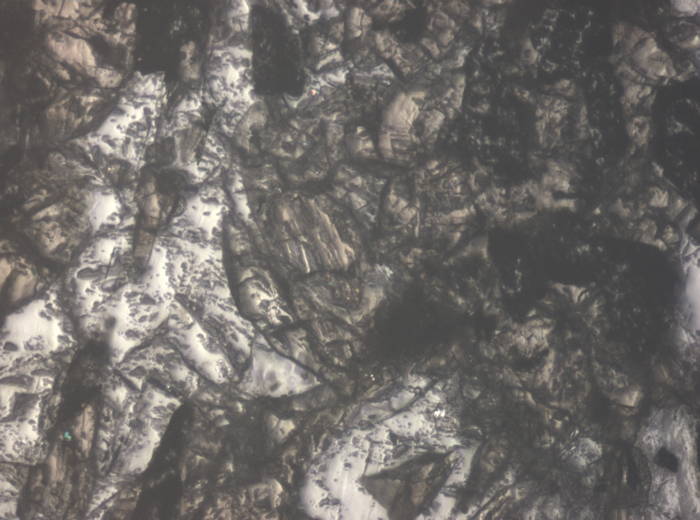 Thin Section Photograph of Apollo 11 Sample 10017,336 in Reflected Light at 10x Magnification and 0.7 mm Field of View (View #4)