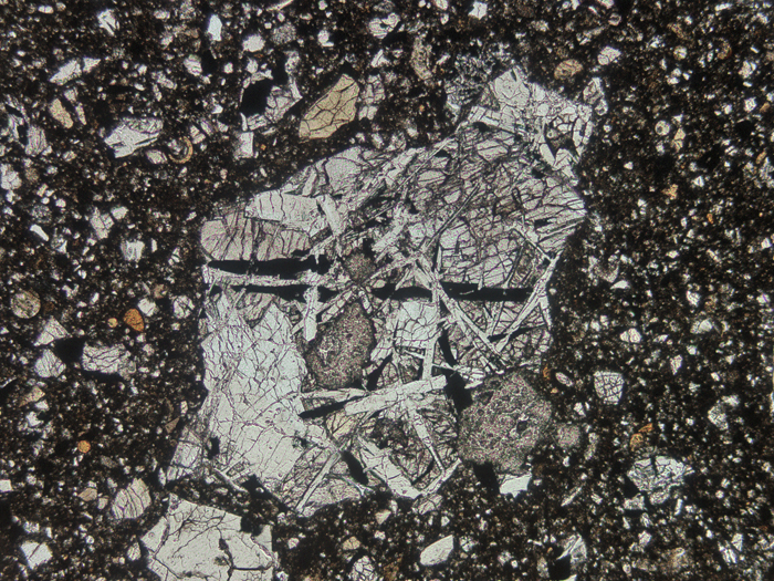 Thin Section Photograph of Apollo 11 Sample 10019,14 in Plane-Polarized Light at 5x Magnification and 2.3 mm Field of View (View #1)