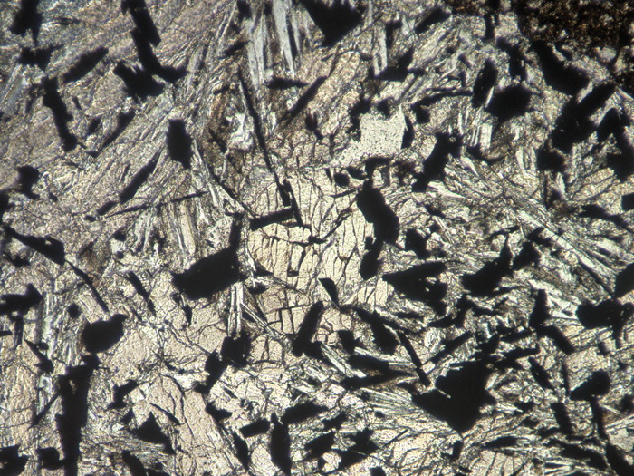 Thin Section Photograph of Apollo 11 Sample 10019,14 in Plane-Polarized Light at 10x Magnification and 1.15 mm Field of View (View #7)