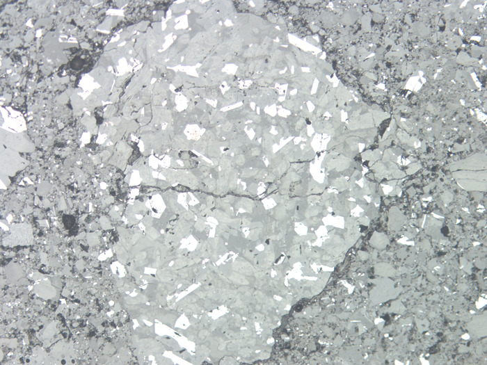 Thin Section Photograph of Apollo 11 Sample 10021,29 in Reflected Light at 10x Magnification and 1.15 mm Field of View (View #2)