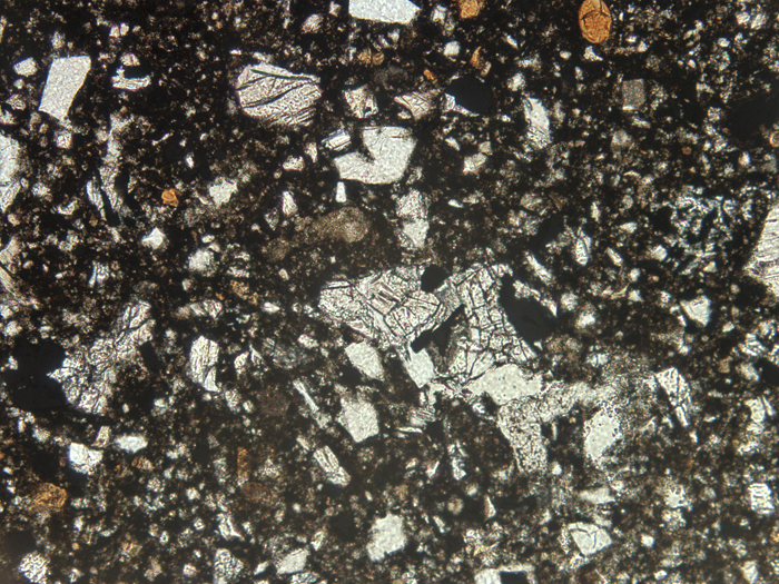 Thin Section Photograph of Apollo 11 Sample 10021,29 in Plane-Polarized Light at 10x Magnification and 1.15 mm Field of View (View #3)