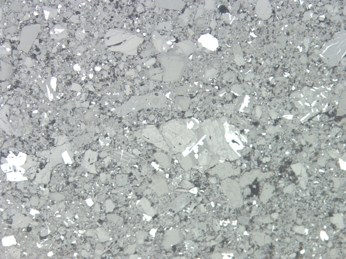 Thin Section Photograph of Apollo 11 Sample 10021,29 in Reflected Light at 10x Magnification and 1.15 mm Field of View (View #3)