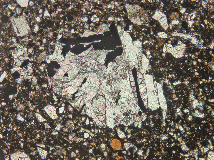Thin Section Photograph of Apollo 11 Sample 10021,29 in Plane-Polarized Light at 10x Magnification and 1.15 mm Field of View (View #5)
