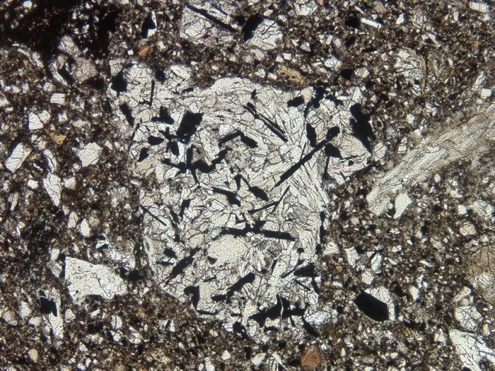 Thin Section Photograph of Apollo 11 Sample 10046,5 in Plane-Polarized Light at 10x Magnification and 1.15 mm Field of View (View #3)