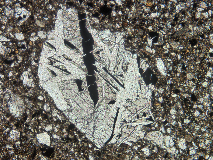 Thin Section Photograph of Apollo 11 Sample 10046,5 in Plane-Polarized Light at 10x Magnification and 1.15 mm Field of View (View #4)