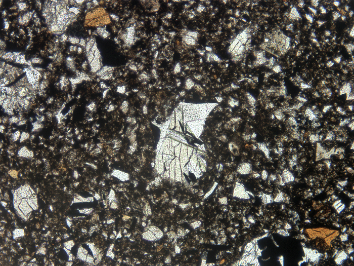 Thin Section Photograph of Apollo 11 Sample 10046,5 in Plane-Polarized Light at 10x Magnification and 1.15 mm Field of View (View #6)