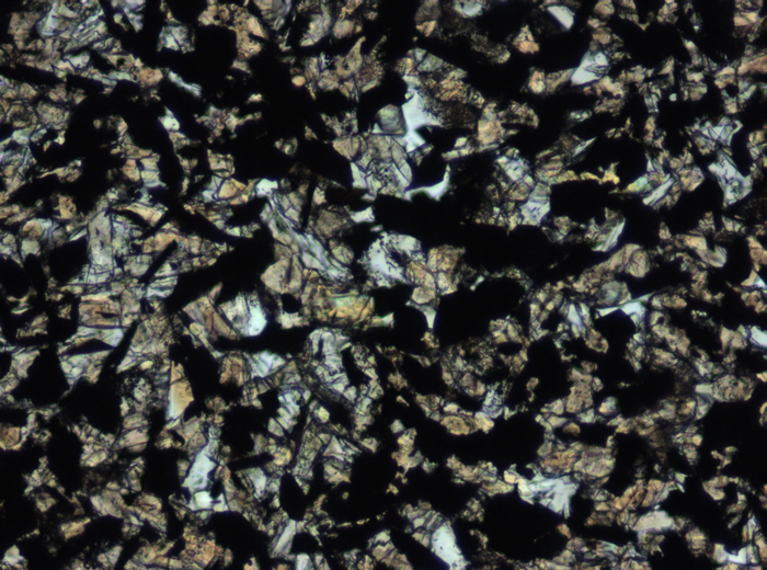 Thin Section Photograph of Apollo 11 Sample 10049,40 in Plane-Polarized Light at 10x Magnification and 0.7 mm Field of View (View #4)