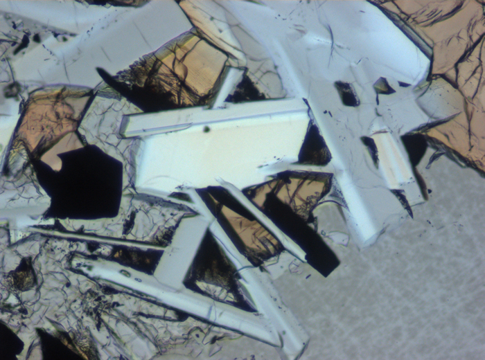 Thin Section Photograph of Apollo 11 Sample 10050,153 in Plane-Polarized Light at 10x Magnification and 0.7 mm Field of View (View #5)