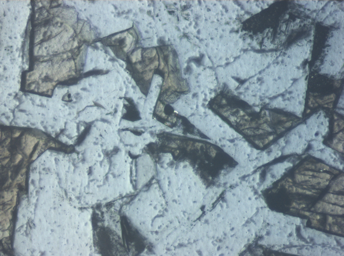 Thin Section Photograph of Apollo 11 Sample 10058,46 in Reflected Light at 10x Magnification and 0.7 mm Field of View (View #5)