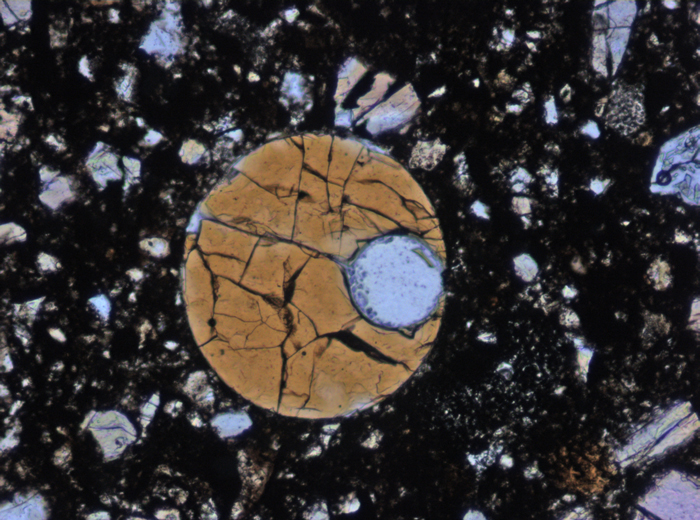Thin Section Photograph of Apollo 11 Sample 10060,28 in Plane-Polarized Light at 10x Magnification and 0.7 mm Field of View (View #8)