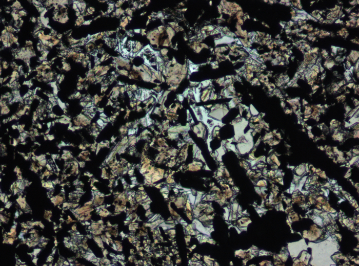 Thin Section Photograph of Apollo 11 Sample 10069,13 in Plane-Polarized Light at 10x Magnification and 0.7 mm Field of View (View #2)