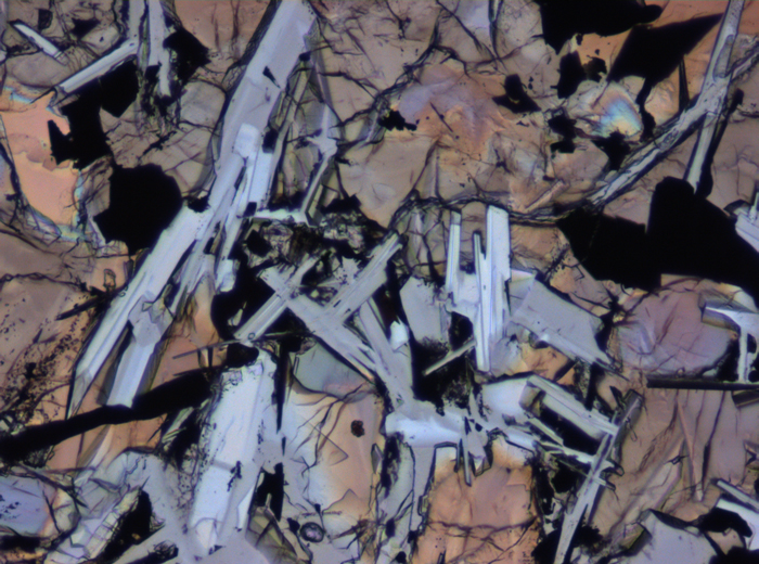Thin Section Photograph of Apollo 11 Sample 10092,5 in Plane-Polarized Light at 10x Magnification and 0.7 mm Field of View (View #2)