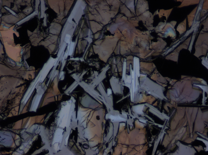 Thin Section Photograph of Apollo 11 Sample 10092,5 in Plane-Polarized Light at 10x Magnification and 0.7 mm Field of View (View #2)