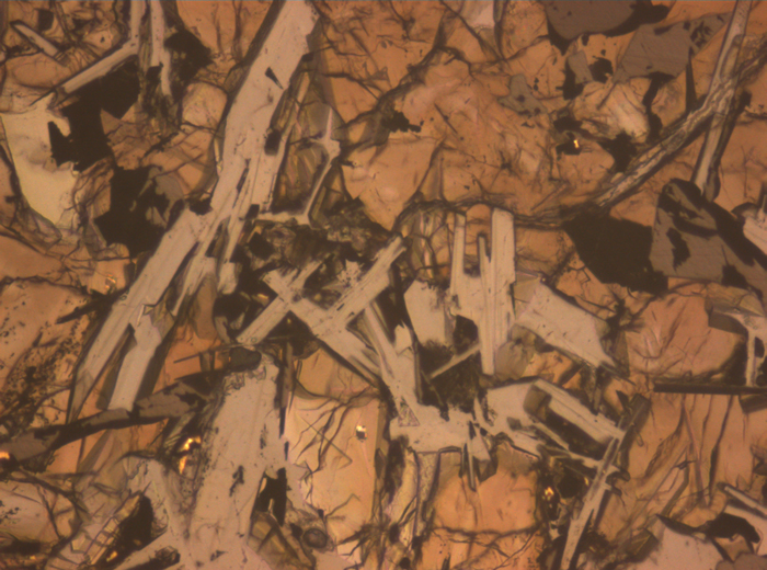 Thin Section Photograph of Apollo 11 Sample 10092,5 in Reflected Light at 10x Magnification and 0.7 mm Field of View (View #2)