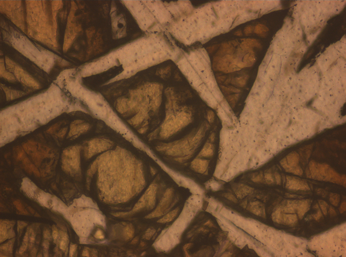 Thin Section Photograph of Apollo 12 Sample 12006,10 in Reflected Light at 10x Magnification and 0.7 mm Field of View (View #5)