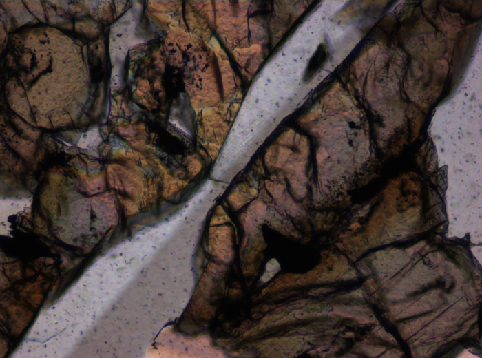 Thin Section Photograph of Apollo 12 Sample 12006,10 in Plane-Polarized Light at 10x Magnification and 0.7 mm Field of View (View #6)