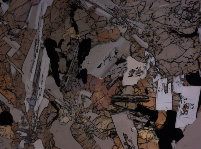 Thin Section Photograph of Apollo 12 Sample 12007,12 in Plane-Polarized Light at 2.5x Magnification and 2.85 mm Field of View (View #1)