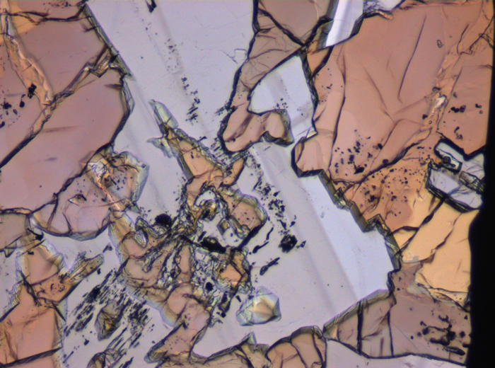 Thin Section Photograph of Apollo 12 Sample 12007,12 in Plane-Polarized Light at 10x Magnification and 0.7 mm Field of View (View #3)