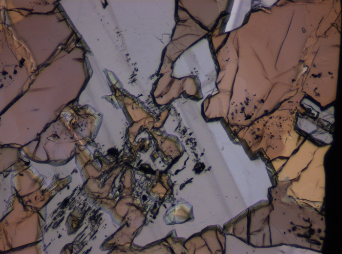 Thin Section Photograph of Apollo 12 Sample 12007,12 in Plane-Polarized Light at 10x Magnification and 0.7 mm Field of View (View #3)