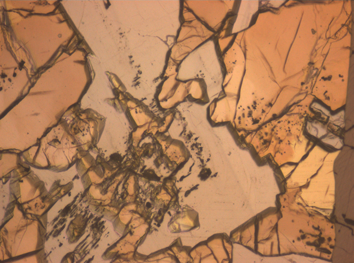 Thin Section Photograph of Apollo 12 Sample 12007,12 in Reflected Light at 10x Magnification and 0.7 mm Field of View (View #3)