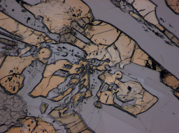 Thin Section Photograph of Apollo 12 Sample 12007,12 in Plane-Polarized Light at 10x Magnification and 0.7 mm Field of View (View #4)