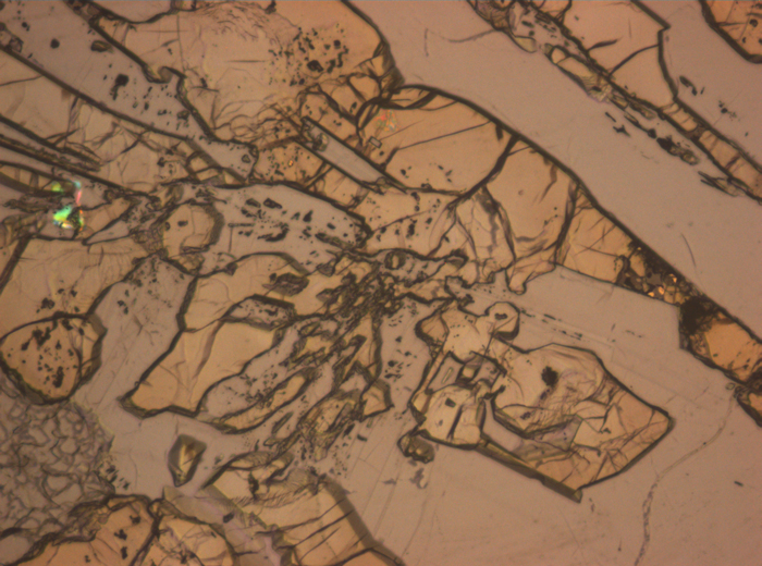 Thin Section Photograph of Apollo 12 Sample 12007,12 in Reflected Light at 10x Magnification and 0.7 mm Field of View (View #4)