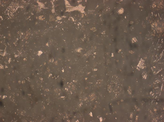 Thin Section Photograph of Apollo 12 Sample 12010,28 in Reflected Light at 2.5x Magnification and 2.85 mm Field of View (View #1)