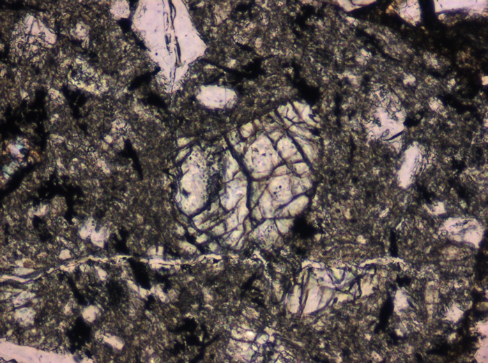 Thin Section Photograph of Apollo 12 Sample 12010,28 in Plane-Polarized Light at 10x Magnification and 0.7 mm Field of View (View #6)