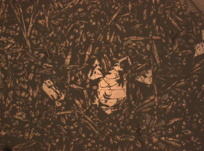 Thin Section Photograph of Apollo 12 Sample 12015,14 in Reflected Light at 2.5x Magnification and 2.85 mm Field of View (View #1)