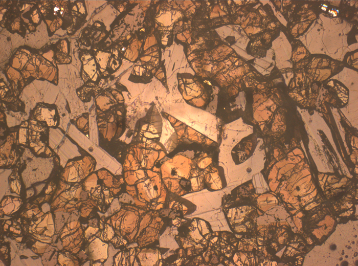 Thin Section Photograph of Apollo 12 Sample 12016,14 in Reflected Light at 2.5x Magnification and 2.85 mm Field of View (View #1)