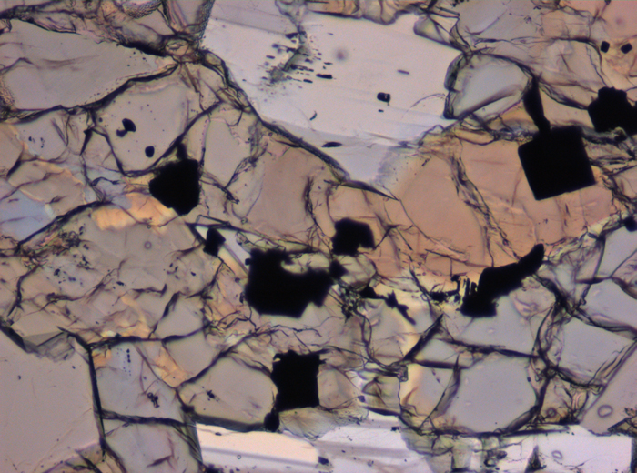 Thin Section Photograph of Apollo 12 Sample 12016,14 in Plane-Polarized Light at 10x Magnification and 0.7 mm Field of View (View #3)