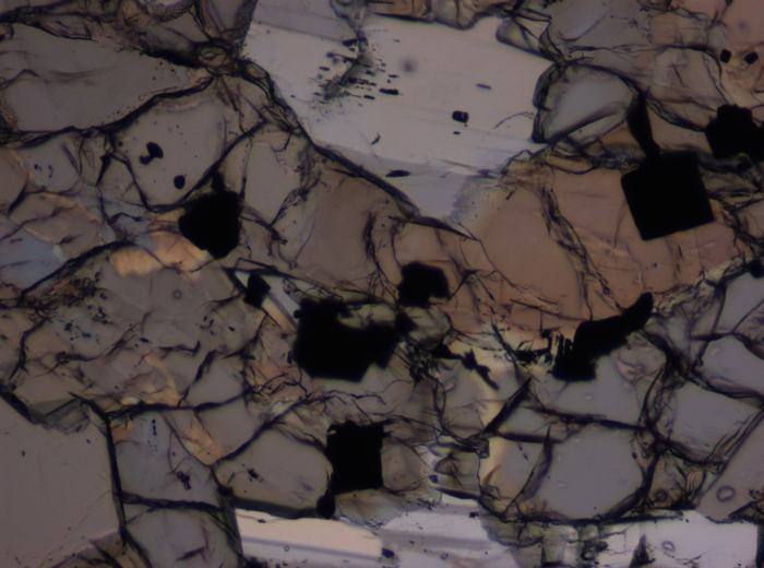 Thin Section Photograph of Apollo 12 Sample 12016,14 in Plane-Polarized Light at 10x Magnification and 0.7 mm Field of View (View #3)