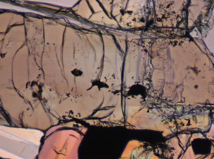 Thin Section Photograph of Apollo 12 Sample 12016,14 in Plane-Polarized Light at 10x Magnification and 0.7 mm Field of View (View #4)